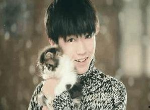 娱乐圈吃瓜爆料吴磊热巴